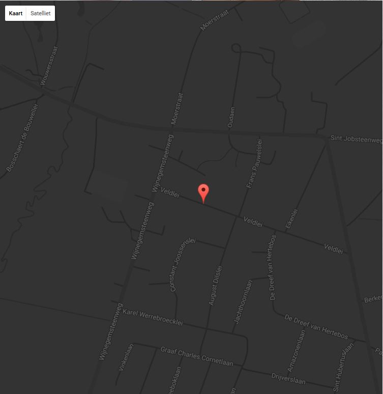 GoogleMap